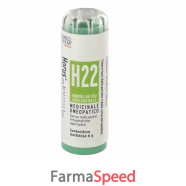 horus h22 gr