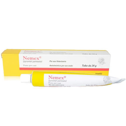 NEMEX CANI*OS PASTA TUBO 24G