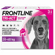 FRONTLINE TRI-ACT* 3 PIPPETTE 20-40KG