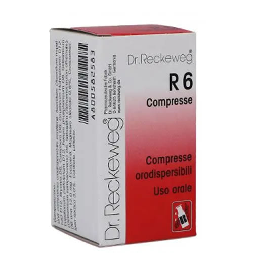 RECKEWEG R6 100CPR 0,1G