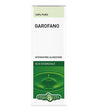 GAROFANO CHIODI OLIO ESSENZIALE 10 ML