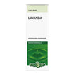 LAVANDA OLIO ESSENZIALE 10 ML - Farmaspeed