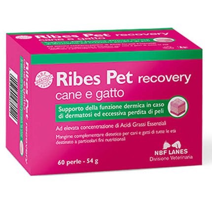 RIBES PET RECOVERY BLISTER 60 PERLE