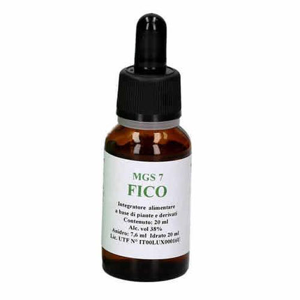 MGS7 FICO MACERATO GLICERICO SPG 20 ML - Farmaspeed
