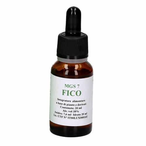 MGS7 FICO MACERATO GLICERICO SPG 20 ML - Farmaspeed