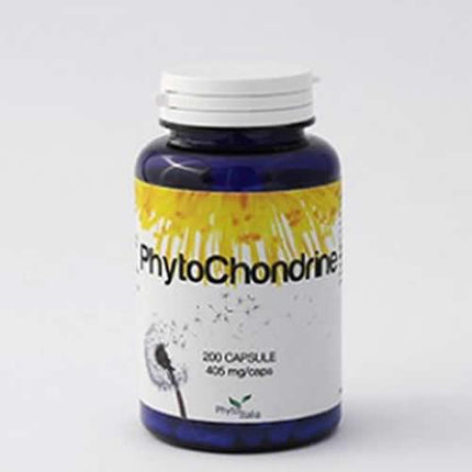 PHYTOCHONDRINE 60 CAPSULE - Farmaspeed
