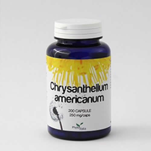 CHRYSANTELLUM AMERICANUM 60 CAPSULES