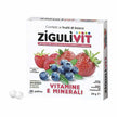 ZIGULI VIT FRUTTIBOSCO 40 CONFETTI - Farmaspeed