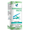 RAPHANUS DELTA HYDROALCOHOLIC SOLUTION 50 ML
