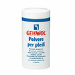 GEHWOL POLVERE PER PIEDI 100 G