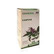 GEMMOSOL 40 LAMPONE 50ML