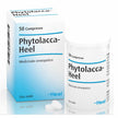 PHYTOLACCA 50CPR HEEL