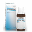 GALIUM 30ML GTT HEEL