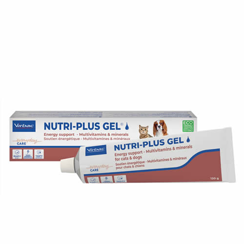 NUTRIPLUS GEL PASTA ORALE 120 G