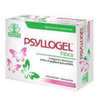 PSYLLOGEL FIBRA FRAGOLA 20 BUSTINE