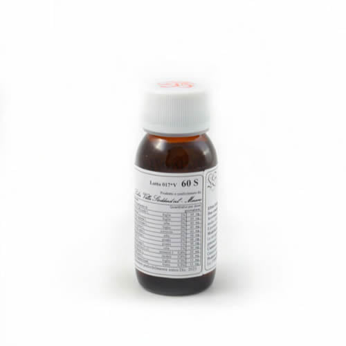 LVS 60S ROSMARINUS OFFICINALIS COMPOSITUM