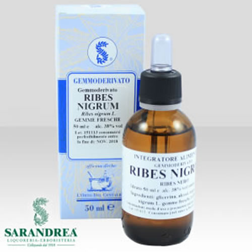 RIBES NIGRUM 100 ML MACERATO GLICERICO
