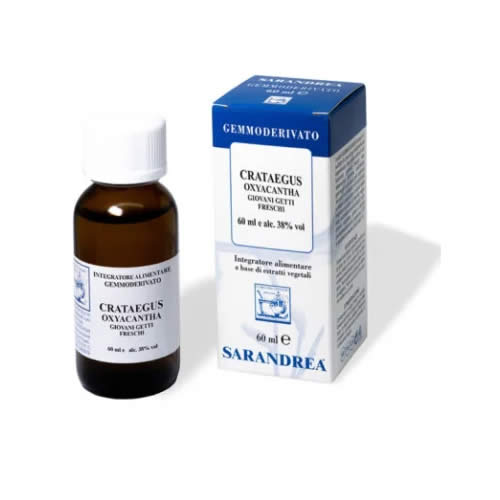 TILIA TOMENTOSA 60 ML MACERATO GLICERICO