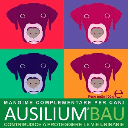 AUSILIUM BAU 100 G - Farmaspeed