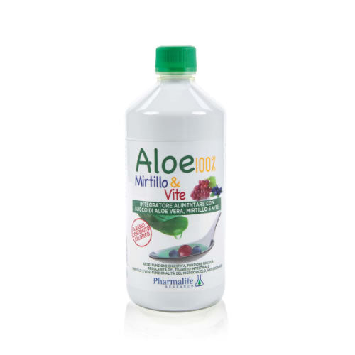 ALOE MIRTILLO & VITE 1 LITRO