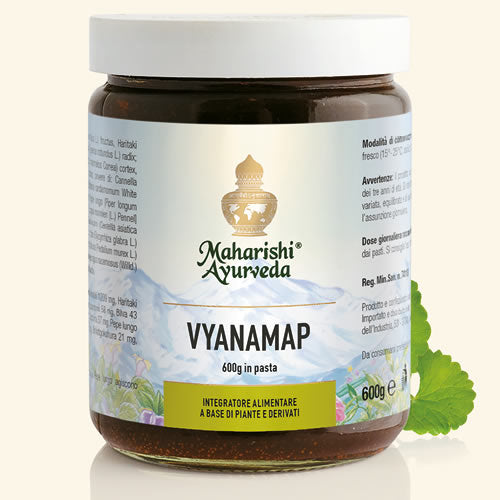VYANAMAP PASTA 600 G