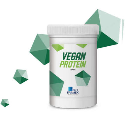 VEGAN PROTEIN 500 G