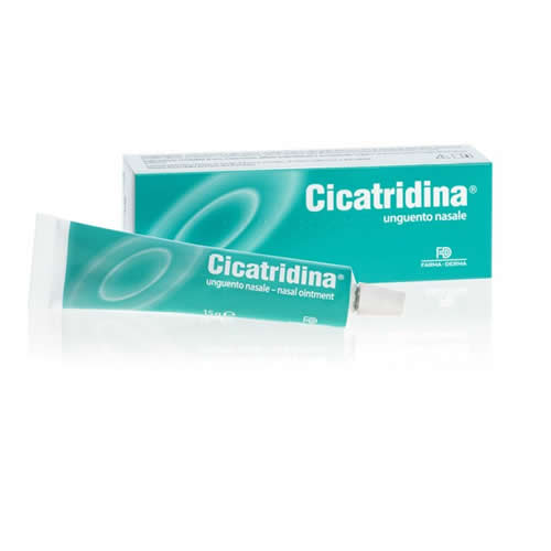CICATRIDINA UNGUENTO NASALE 15 G