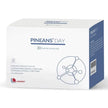 PINEANS DAY 30 BUSTINE OROSOLUBILI DA 1800 MG - Farmaspeed