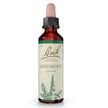 AGRIMONY BACH ORIG 20 ML - Farmaspeed