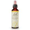 HORNBEAM BACH ORIG 20 ML - Farmaspeed