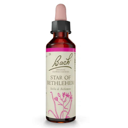 STAR OF BETHL ORIG 20 ML - Farmaspeed