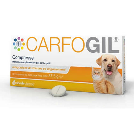CARFOGIL 30 TABLETS