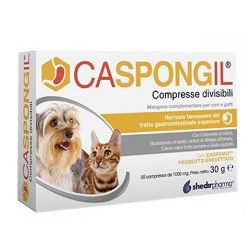 CASPONGIL 30 COMPRESSE DIVISIBILI