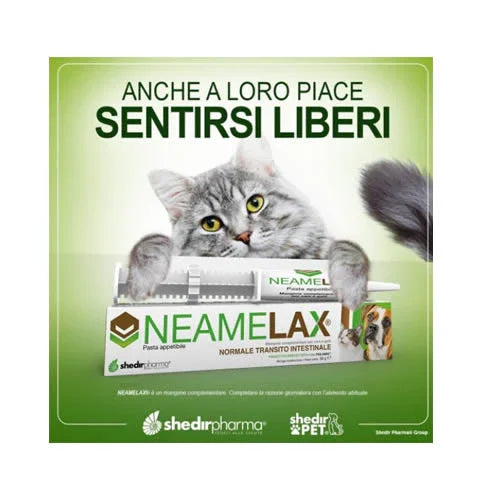 NEAMELAX PASTA 30 G - Farmaspeed