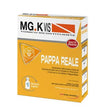 MGK VIS TONICO RICOSTITUENTE PAPPA REALE 10 FLACONCINI DA 10 ML - Farmaspeed