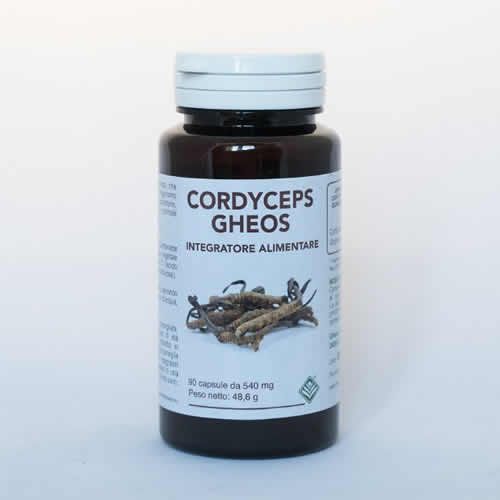 CORDYCEPS GHEOS 90 CAPSULES OF 540 MG