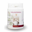 KOLESTEROL 40 CAPSULE - Farmaspeed