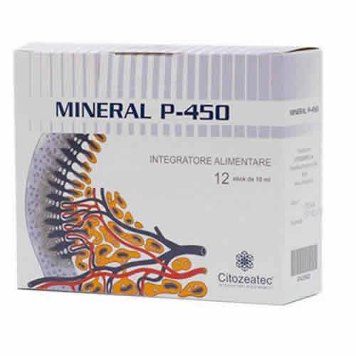 MINERAL P 450 12 STICK MONODOSE DA 10 ML - Farmaspeed