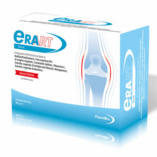 ERART 20 SACHETS 4.8 G