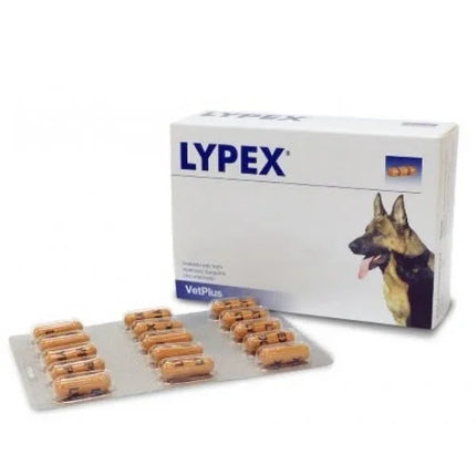 LYPEX 60 CAPSULE - Farmaspeed