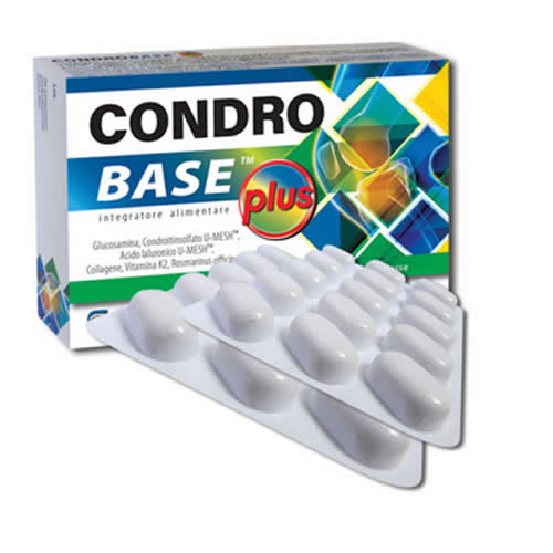 CONDROBASE PLUS 30 COMPRESSE DA 1100 MG