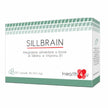 SILLBRAIN 30 CAPSULES