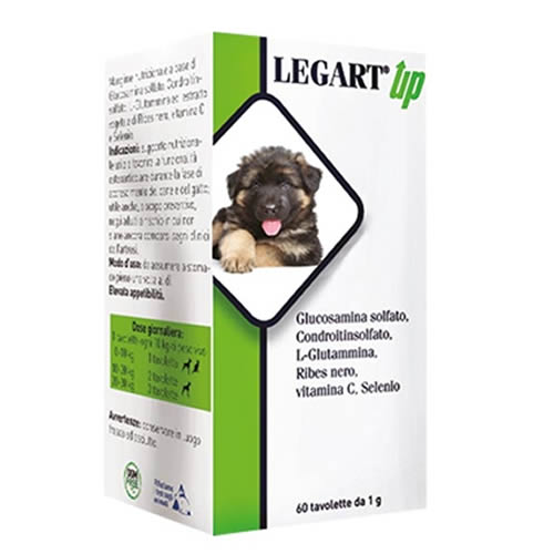 LEGART UP 120 COMPRESSE
