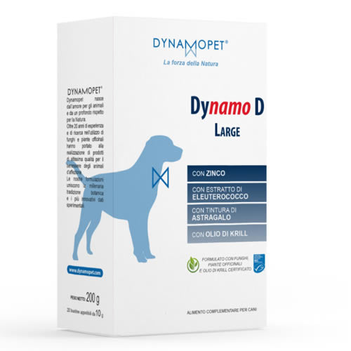 DYNAMO D LARGE 20 SACHETS OF 10 G