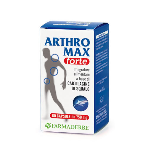Arthromax forte 60 capsule