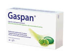 GASPAN CAPSULA MOLLE GASTRORESISTENTE 28 CAPSULE IN BLISTER PVC/PVDC-AL