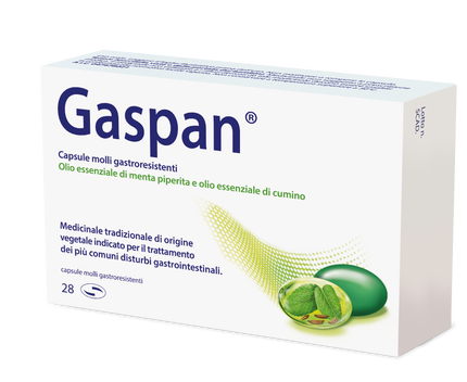 GASPAN CAPSULA MOLLE GASTRORESISTENTE 28 CAPSULE IN BLISTER PVC/PVDC-AL