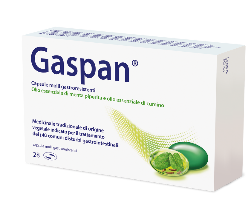 GASPAN CAPSULA MOLLE GASTRORESISTENTE 28 CAPSULE IN BLISTER PVC/PVDC-AL