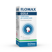 FLOMAX GOLA 0,25% SPRAY PER MUCOSA ORALE FLACONE DA 15 ML