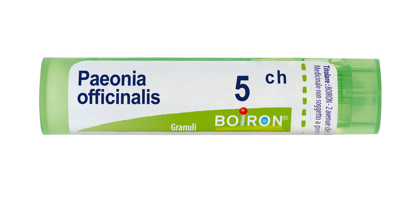 PAEONIA OFF BOI 5 CH GRANULI 1 CONTENITORE MULTIDOSE IN PP DA 4 G (80 GRANULI) CON TAPPO DISPENSATORE IN PP